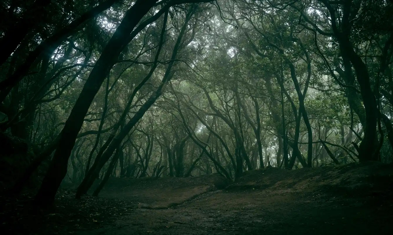 Jungle Treks - Mumbai